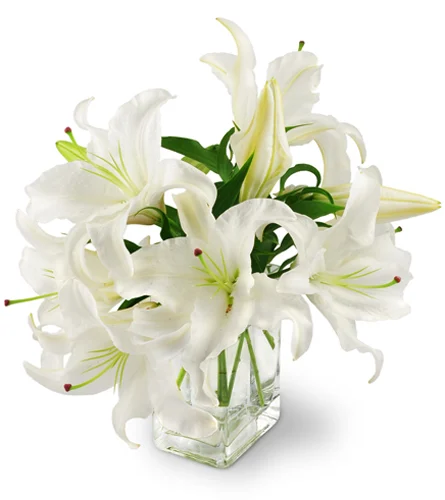 White Lily Bouquet